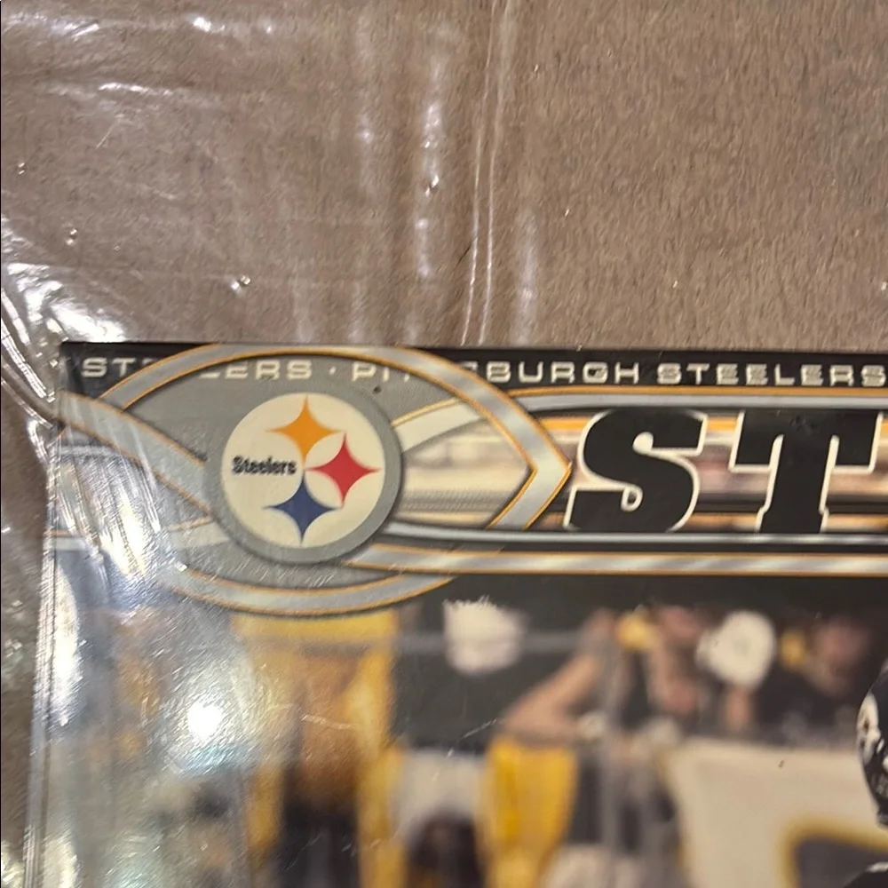 Pittsburgh Steelers 2009 Mini Calendar